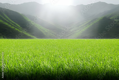 Green Grassy Field Landscap...