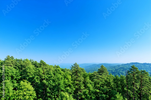 Lush Green Forest Landscape...