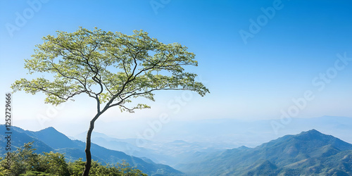 Mountaintop Tree Landscape Illustration