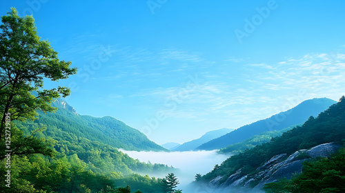 Misty Mountain Valley Illus...
