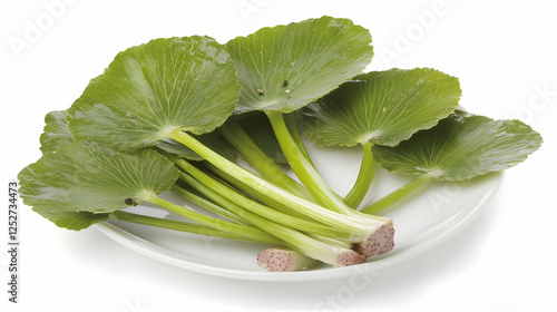 Fresh Green Vegetable Photo