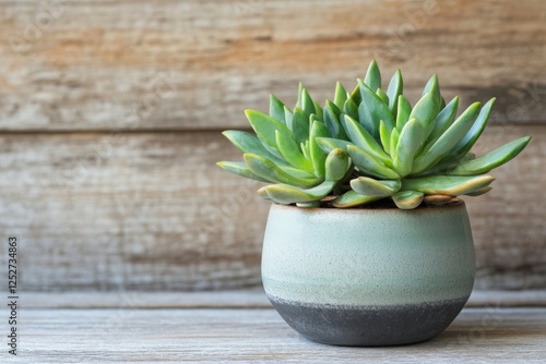 Elegant green eucalyptus in a simple ceramic vase on a wooden table