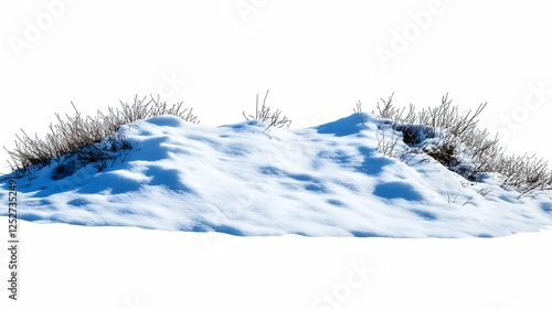 Snowy Hilltop with Winter B...