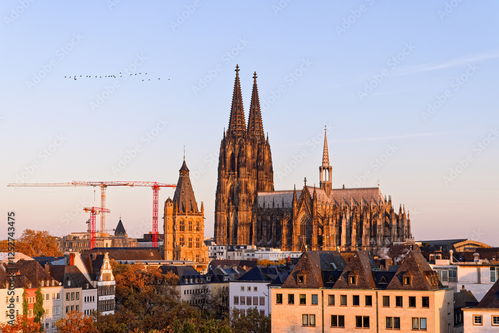 Fototapeta premium Cologne cityscape with Cologne Cathedral at golden hour sunrise, North Rhine Westphalia, Germany.