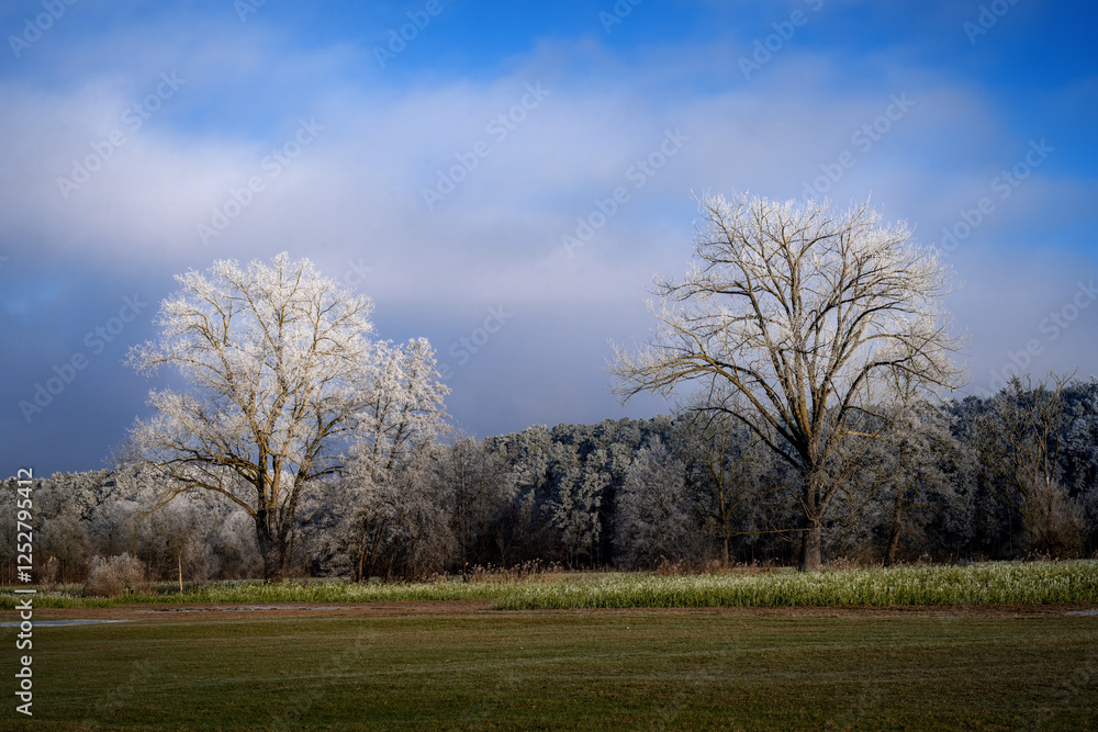 Winter landscape with frost covered trees