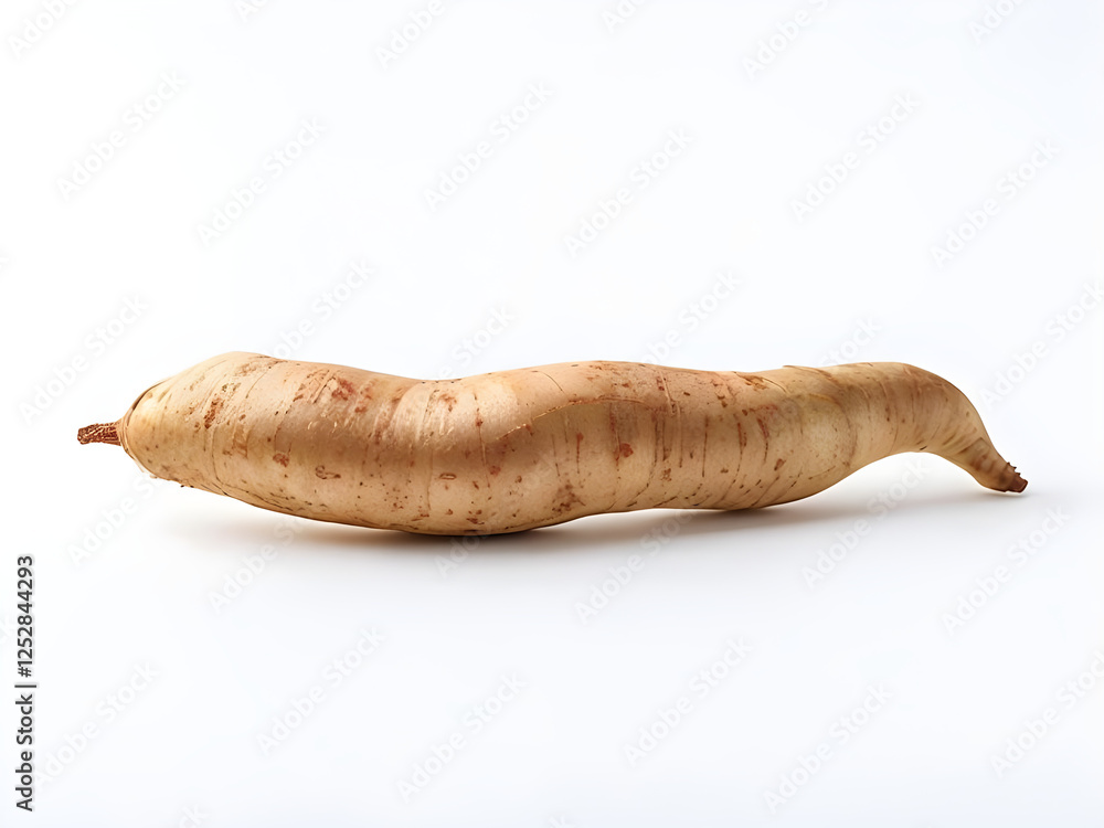 cinnamon-vine or chinese yam isolated on white. cinnamon-vine or chinese yam isolated on white.