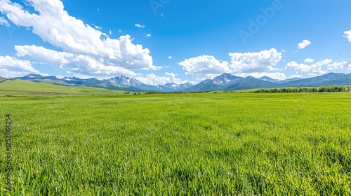 Vast green meadow stretches towards distant mountains under a bright blue sky with white clouds during a sunny day.