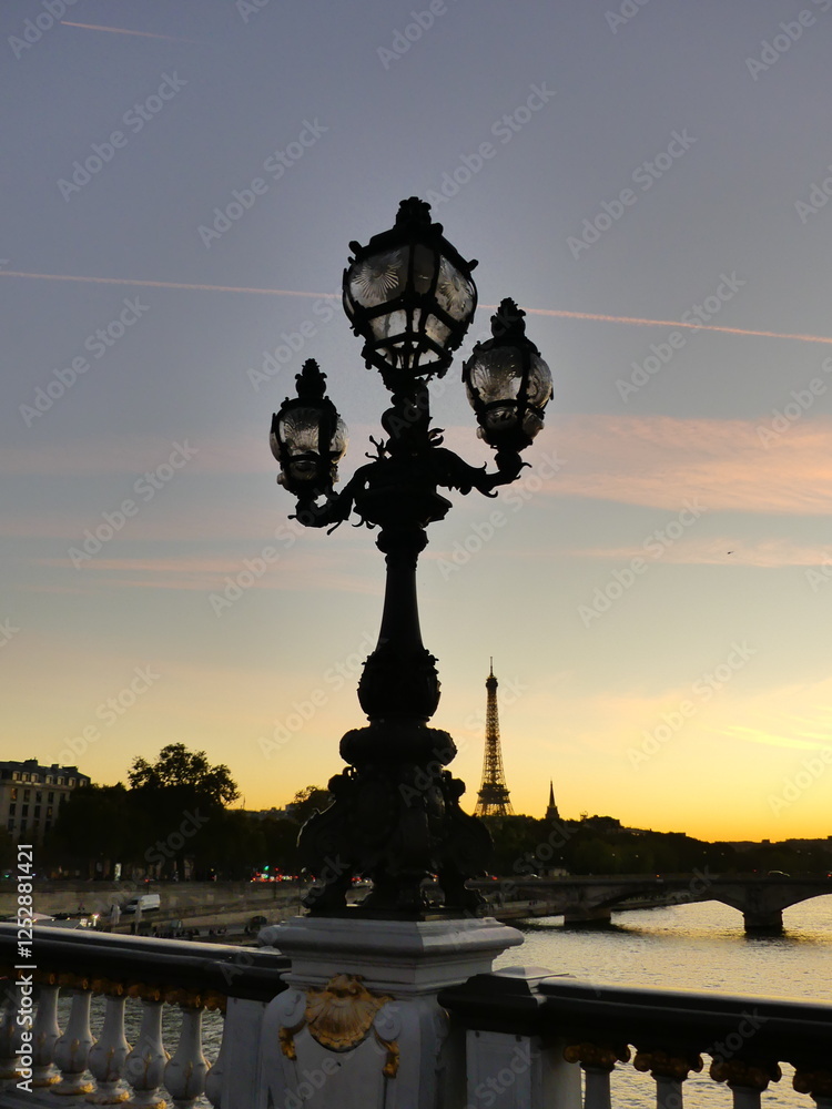 Fototapeta premium Paris Seine Sunset Pont Alexandre III