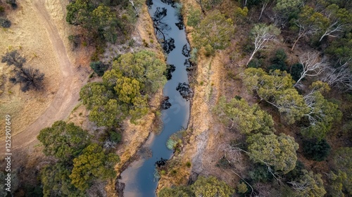 Aerial View of Serene River Winding Through Australian Bush
