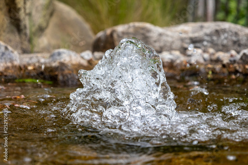 Living Water: Close-up of a bubbling spring