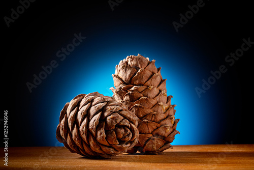 Pine cones on a black background with a blue spot. Artistic defocus.