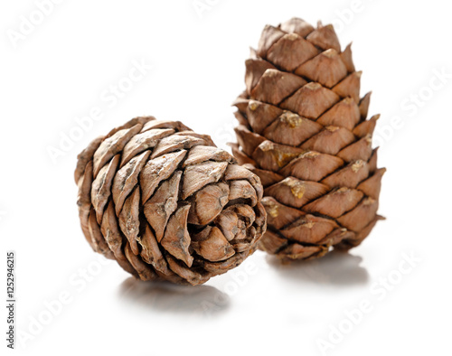 Pine cones on a white background. Art defocus.
