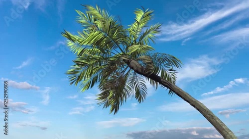 Palm tree in the wind on a sky background