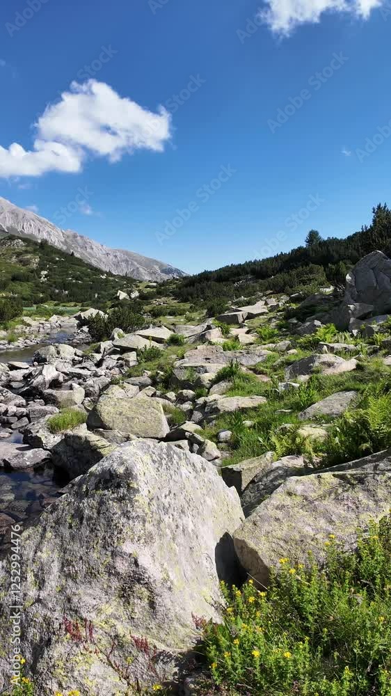 Amazing  Landscape near Banderitsa River at Pirin Mountain, Bulgaria