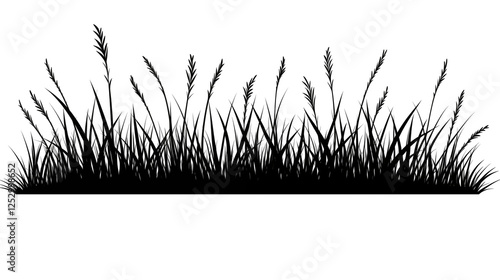 Grass silhouette vector  Isolated on Transparent Background photo