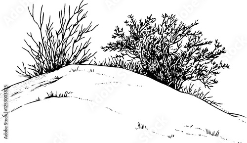 Black and White Hill with Bushes Illustration