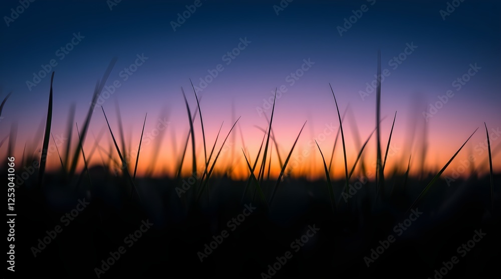 Silhouette of blades of grass against sky at sunset. Silhouette of blades of grass against sky at sunset.