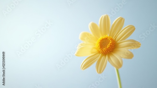 Wallpaper Mural Delicate yellow flower blooming against a soft blue sky nature photography outdoor close-up serenity Torontodigital.ca
