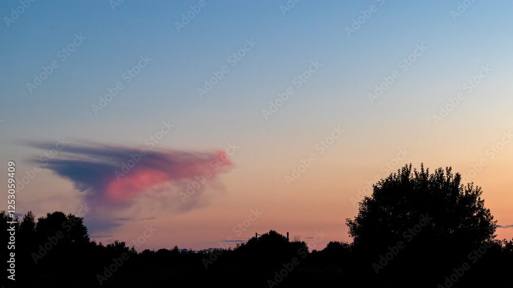 Obraz premium Sky background on sunset. Nature composition. Summer background.
