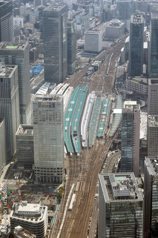 Obraz premium 東京駅を空撮