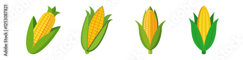 Illustrations of Corn on the Cob with Green Husks - A set of illustrations showing fresh corn on the cob with husks, highlighting the vibrant yellow kernels and green leaves.

