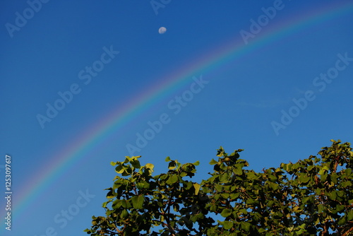 Caryocar brasiliense (pequi) and rainbow photo