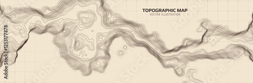 Topographic map. Geographic contour map background with elevation lines. Detailed terrain visualization concept. Vector illustration of landscape elevations and natural relief.