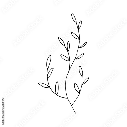 branch with leaves outline drawing