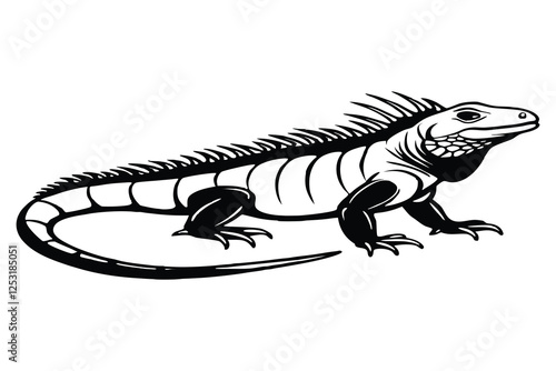Silhouette of iguana isolated on a white background