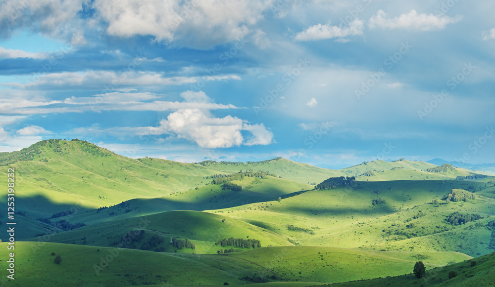 Fototapeta premium View of a summer day in the mountains, green meadows, mountain slopes and hills, countryside 