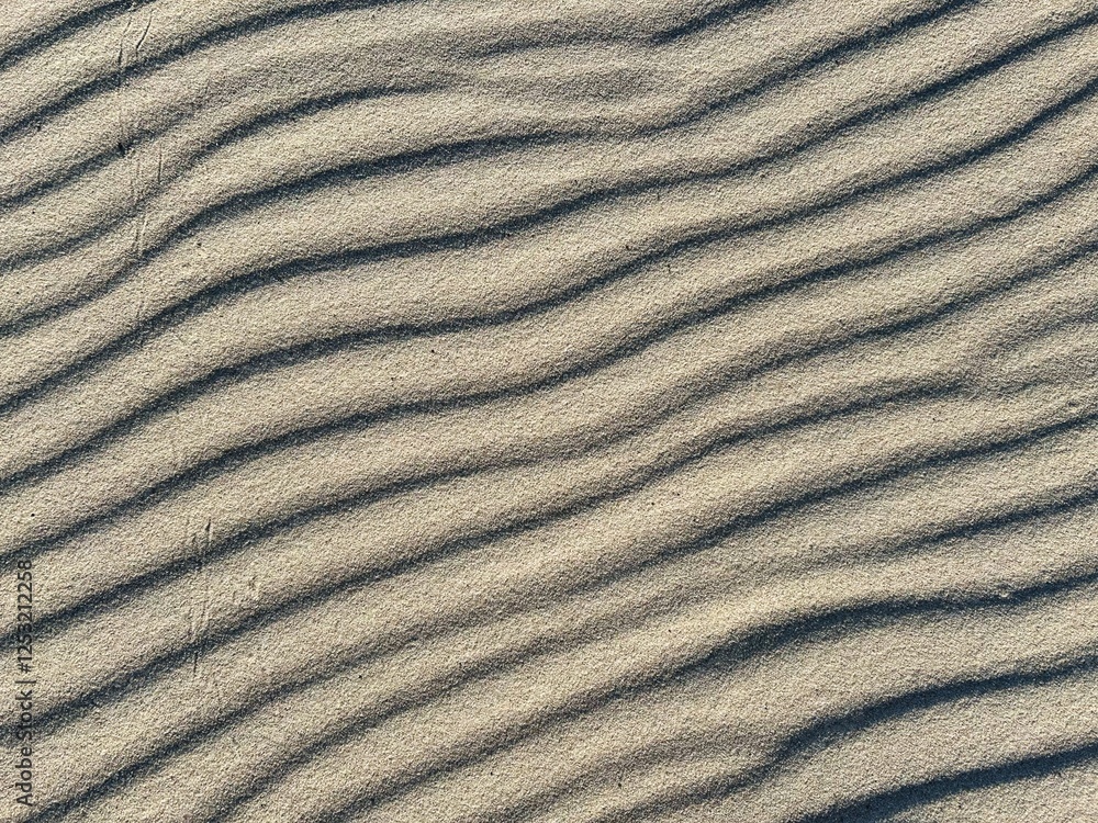 
An intricate view of fine-grained sand shaped by the wind into parallel ridges, forming a mesmerizing, repetitive texture that reflects the harmony of natural forces