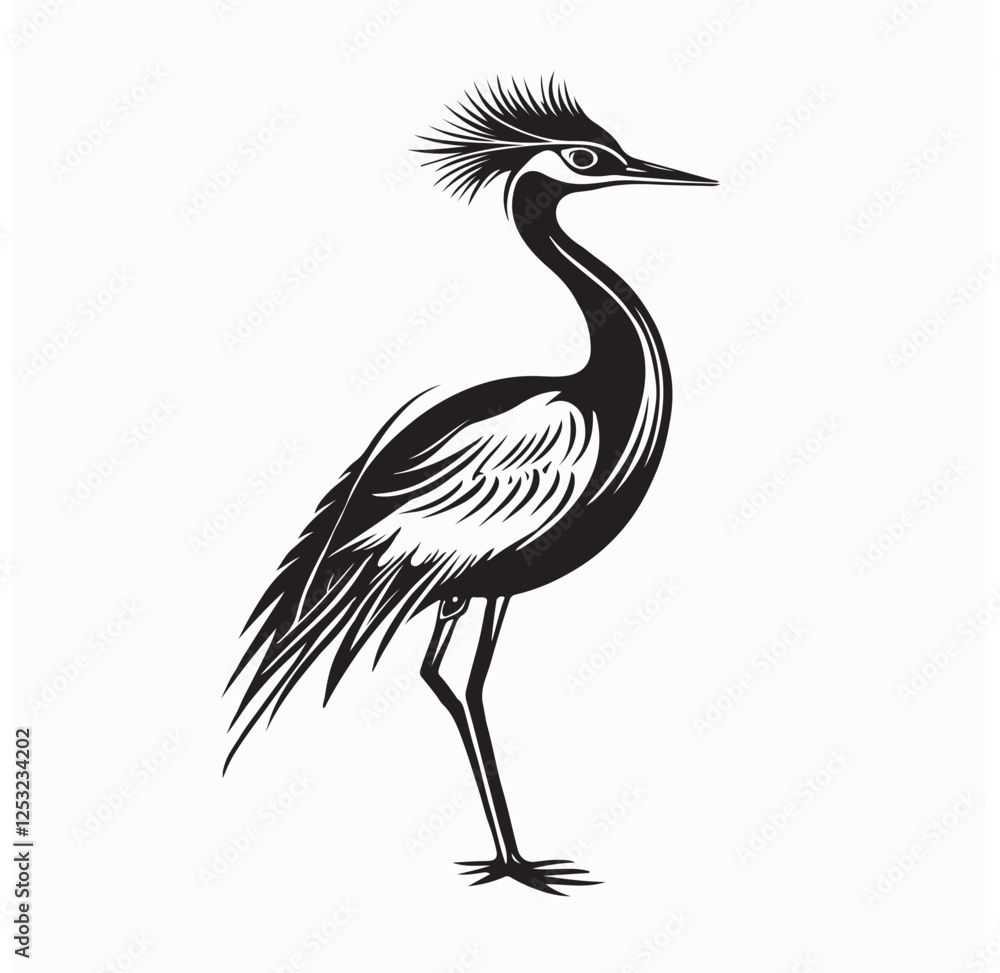 Fototapeta premium Jacana Bird Image Vector Illustration isolated on white background.