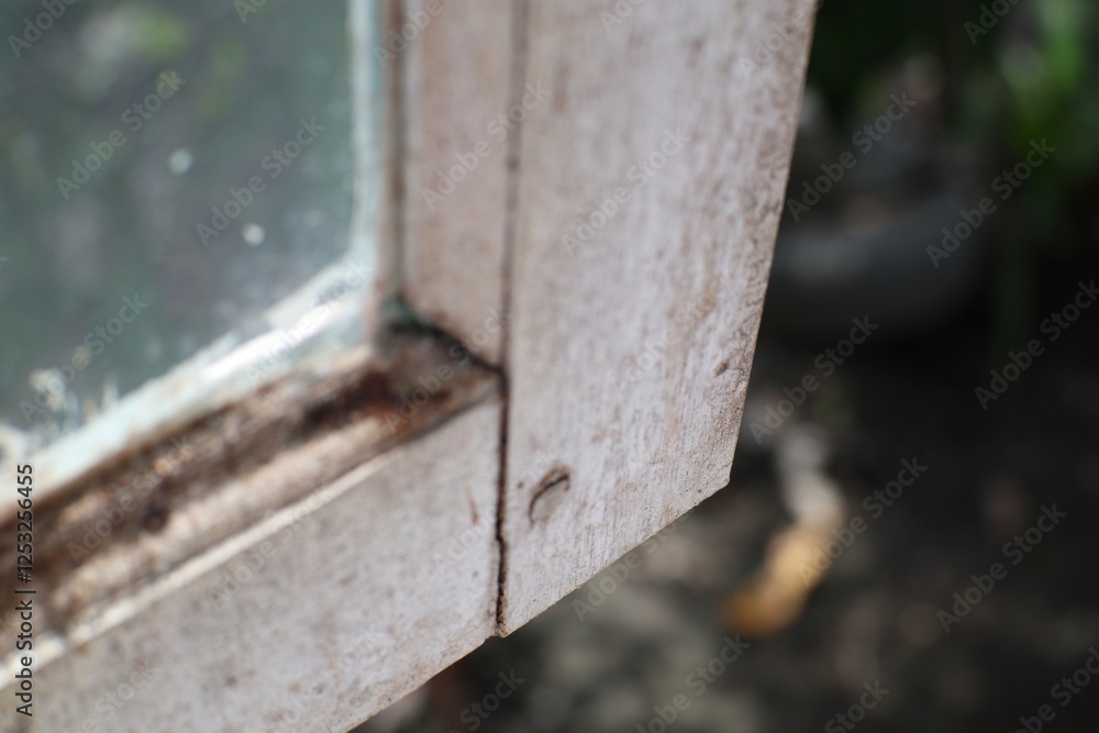 Weathered window corner with textured frame and glass reflecting nature Weathered window corner with textured frame and glass reflecting nature