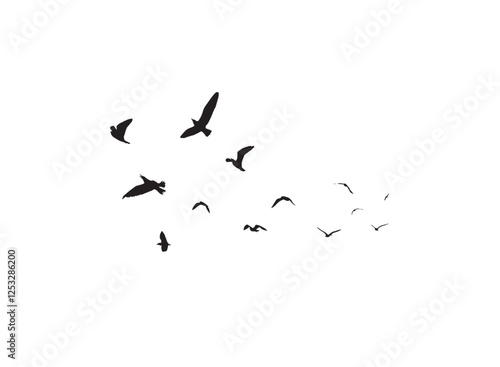 A flock of flying birds silhouettes in the white background. Wild Birds flying vector illustration.