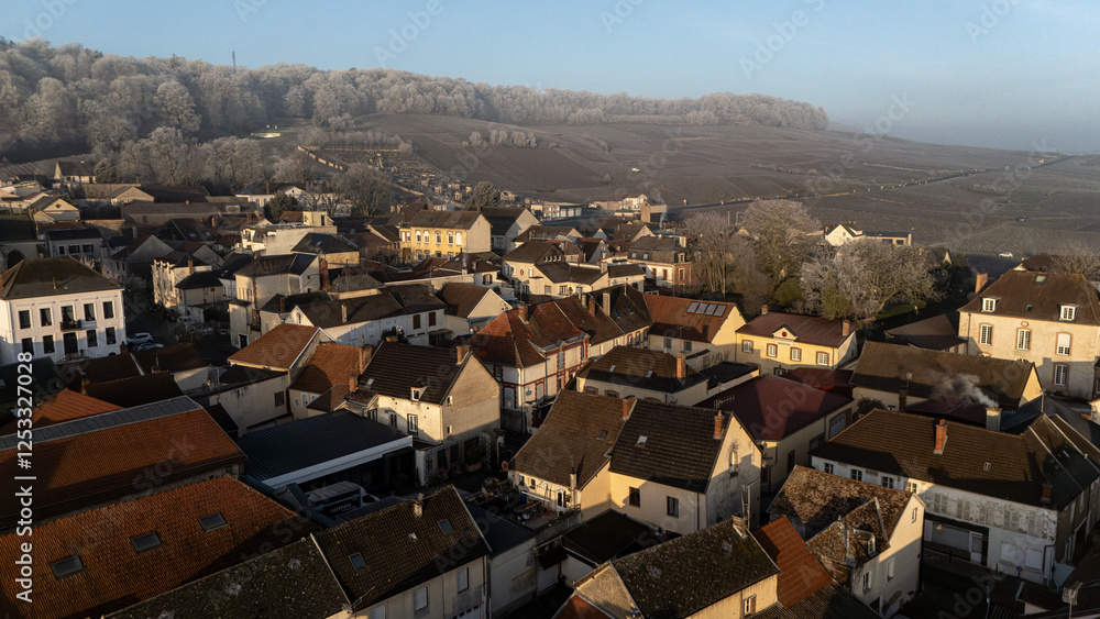 Fototapeta premium Vue sur un village avec des vignes et une forêt en arrière-plan. En saison hivernale avec le soleil qui se lève sur le village.