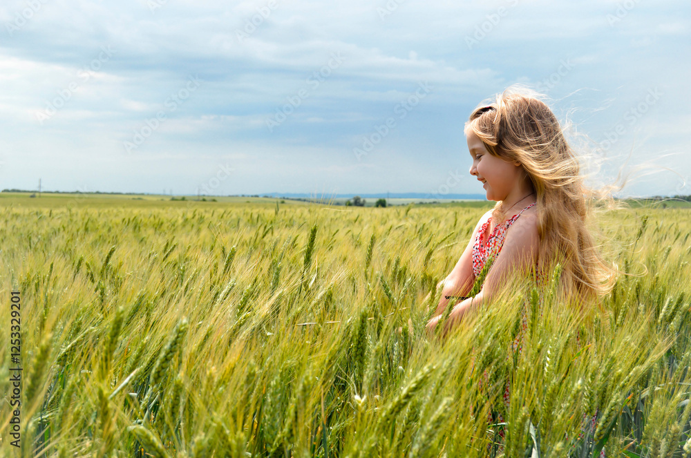 girl in a wheat field girl in a wheat field