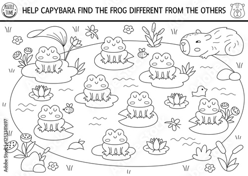 Find different frog in the pond. Capibara black and white matching activity for children. Educational line quiz worksheet for kid. Printable game, coloring page with cute capybara searching for toad