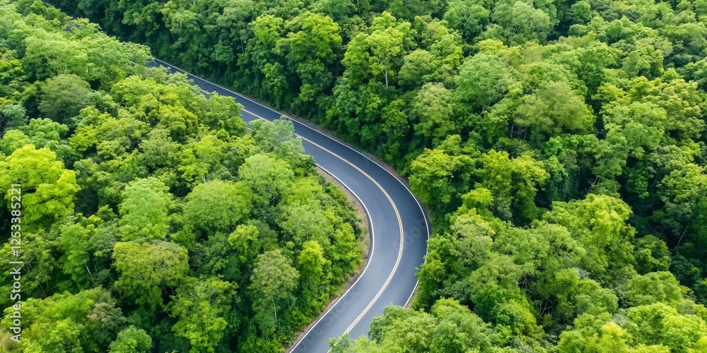 Winding Road Through Lush Forest (1) Winding Road Through Lush Forest (1)