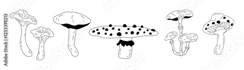 Set of different forest mushrooms drawn in doodle style. Seasonal autumn mushrooms chanterelle, pognanka, fly agaric in line art style. Vector illustration