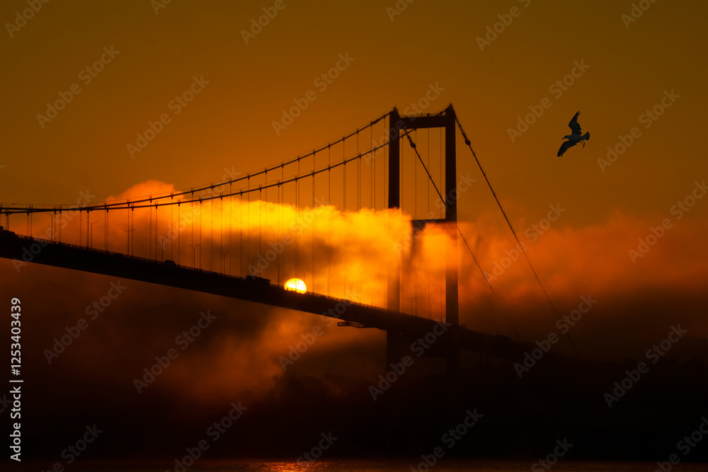 Fototapeta premium View of July 15 Martyrs Bridge (Bosphorus Bridge) with seagull and sunrise in fog clouds. A foggy view from the July 15 Martyrs Bridge in Ortakoy.