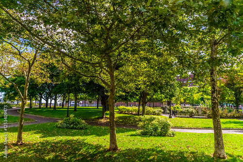 A view towards the waterfront across Christopher Columbus Park in Boston in the early morning in the fall
 photo