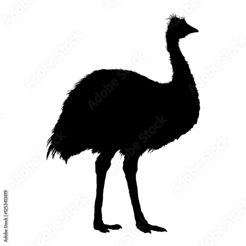 Vector Emu Silhouette. Full Body Illustration