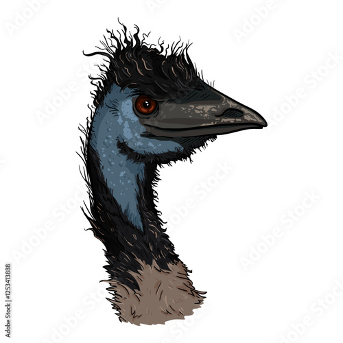 Cartoon Head of Emu Illustration