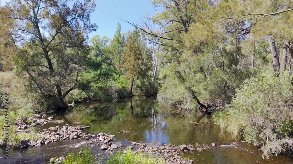 River in the forest and flowing water out on the Severn River at Strathbogie, NSW, Australia River in the forest and flowing water out on the Severn River at Strathbogie, NSW, Australia