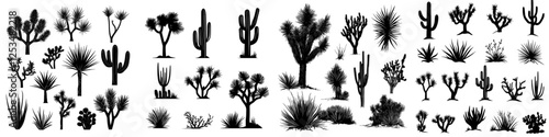 A large group of black outlines depicting cacti, agaves, a Joshua tree, and prickly pears