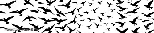A set of black seagull silhouettes flying against a white background