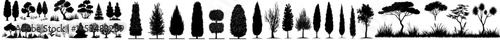 A set comprising bush and exposed bush, along with decorative garden plants, and their silhouettes