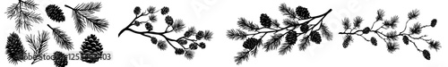 A collection of shadowy cone shapes, pine branches, and cedar limbs