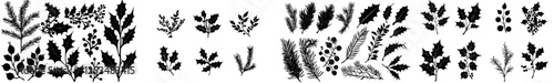 Modern Christmas plants, holly berries, and a Christmas tree adorned with mistletoe, pines, and berries, featuring branches with leaves. These elements serve as holiday decorations and winter