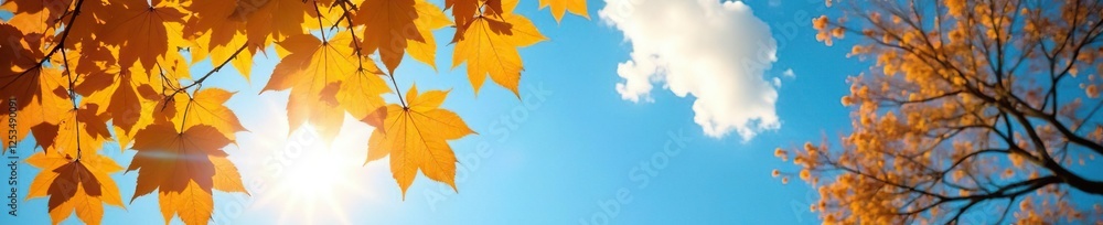 Golden hues of autumn leaves against a brilliant blue sky, sunlight, yellow Golden hues of autumn leaves against a brilliant blue sky, sunlight, yellow
